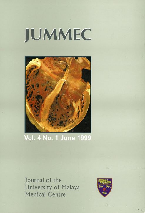 					View Vol. 4 No. 1 (1999)
				